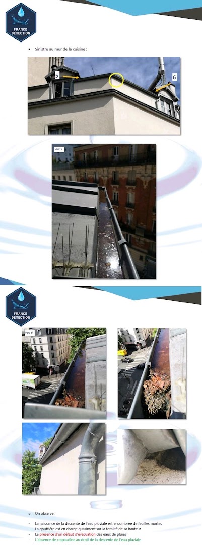 France detection — Photos 1