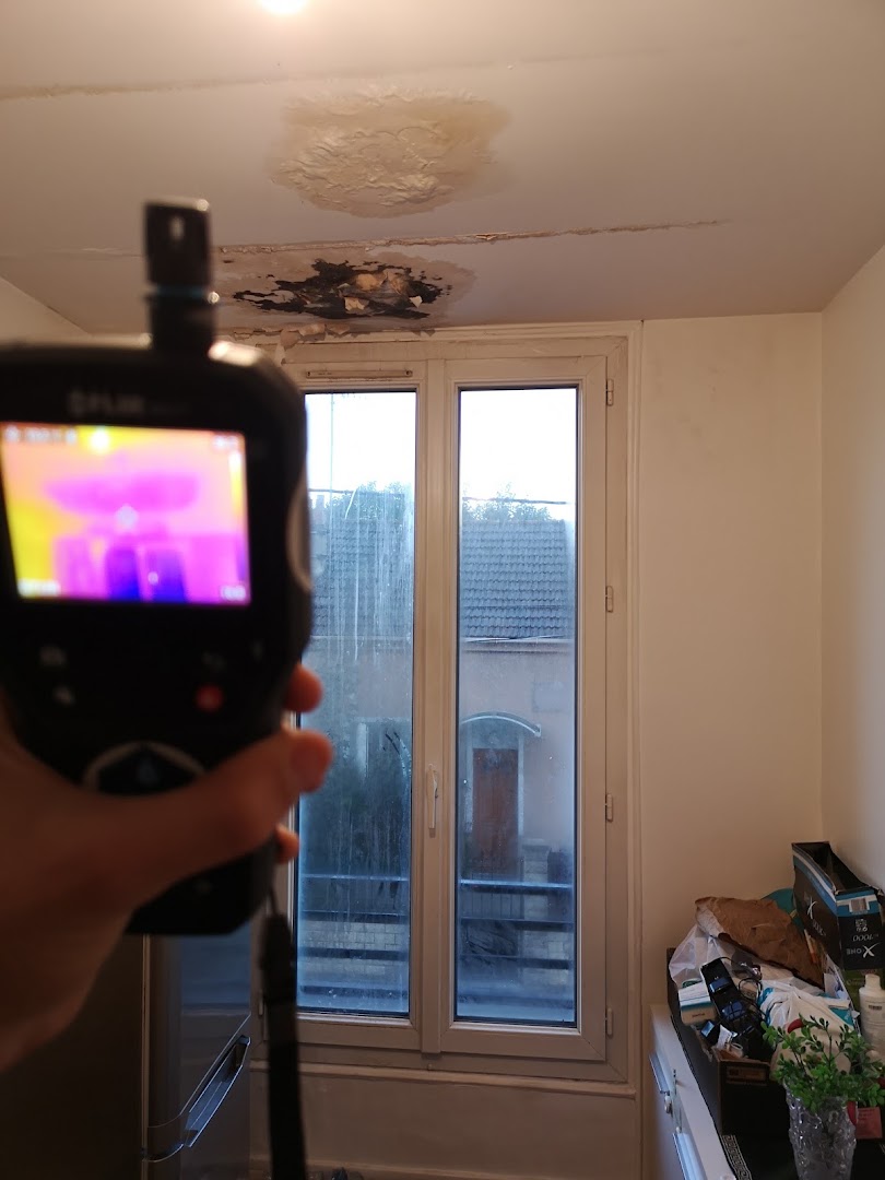 France detection — Photos 5
