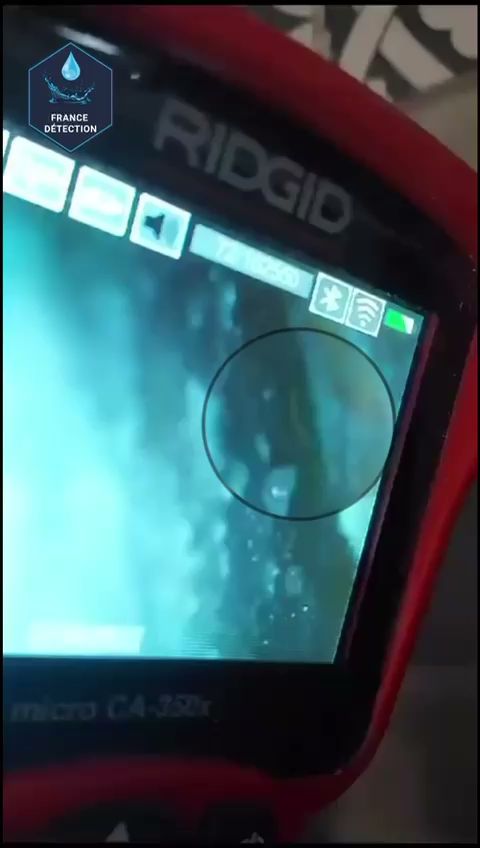 France detection — Photos 8